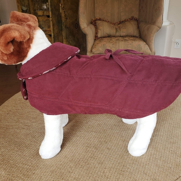 Luxury Dog Apparel - Picture 1 of 6